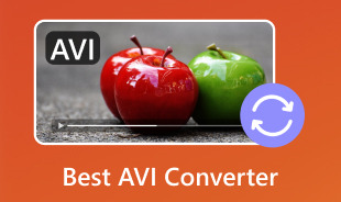 Recenzii Avi Converter