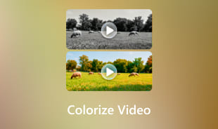 צביעת וידאו