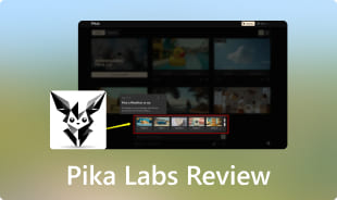 Pika Labs Review