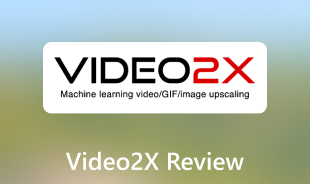 Video2X Review