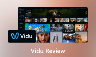 Recenze Vidu