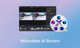 Recensione di Winxvideo AI