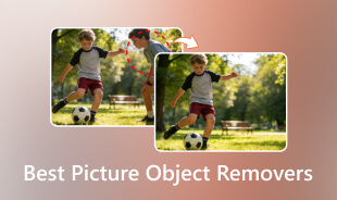 Best Picture Object Removers