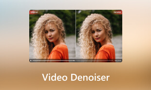 Reviews Video Denoiser